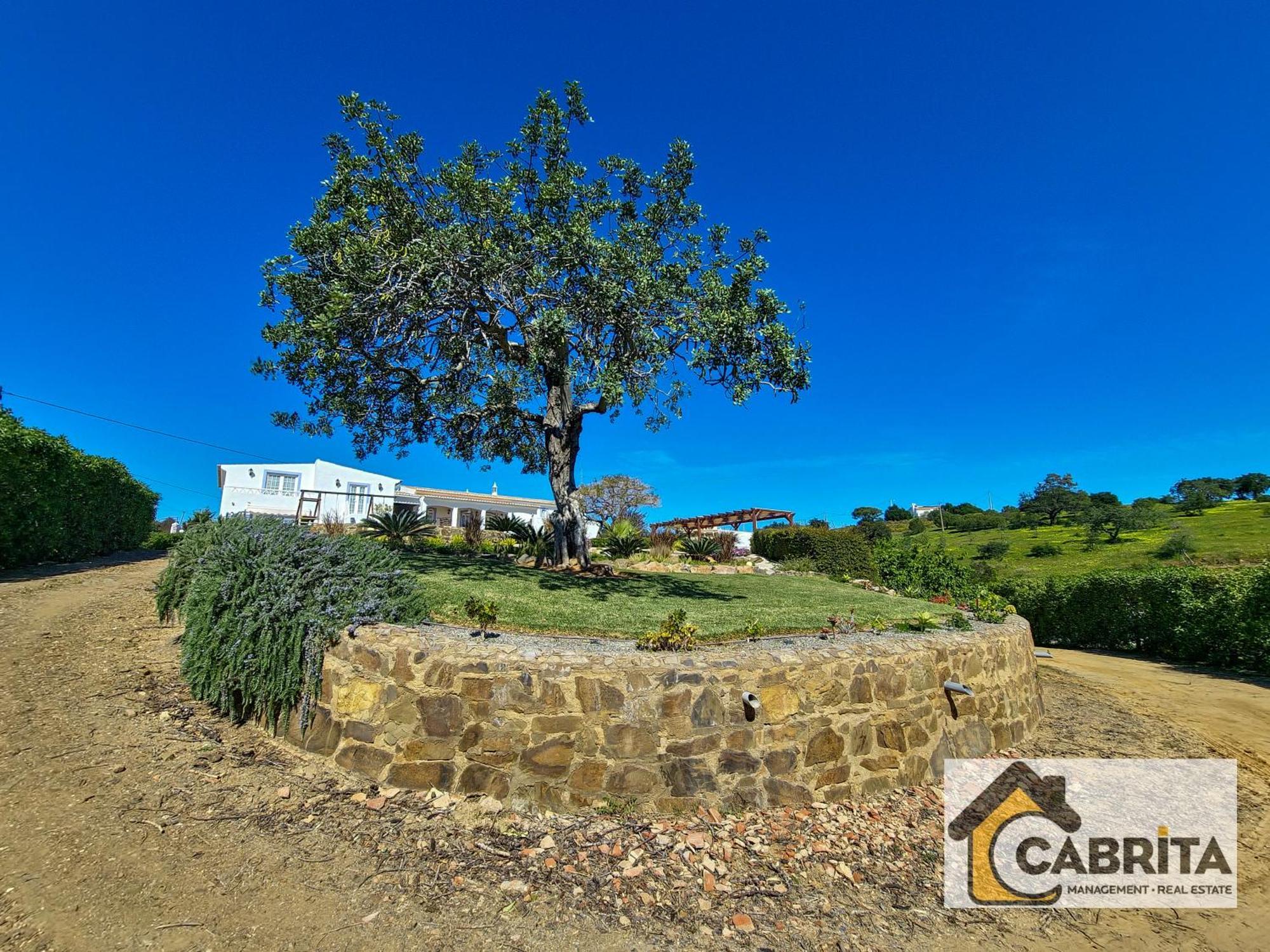 Quinta Dos Medronheiros Villa อัลตูรา ภายนอก รูปภาพ